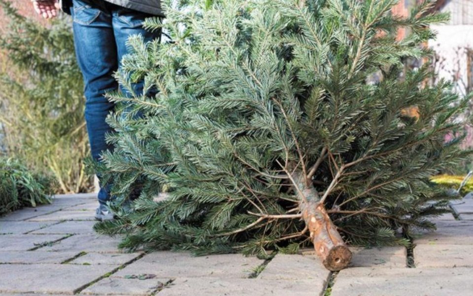 Afbeelding: Gemeente Súdwest-Fryslân