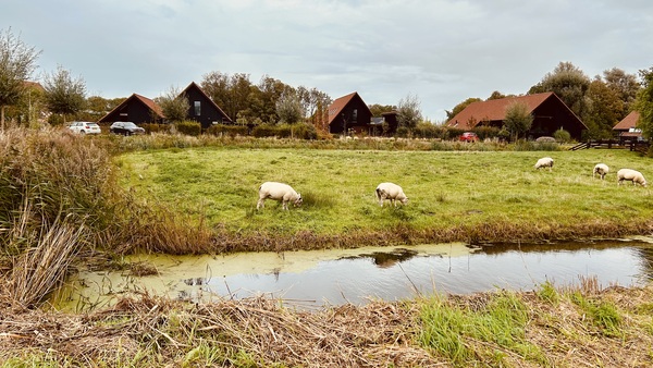 Rintjepôle genomineerd voor mooiste bouwproject van Fryslân